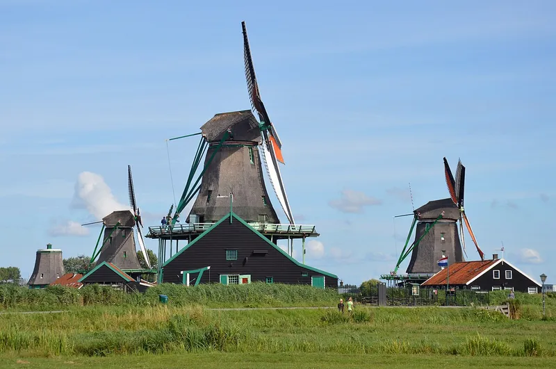 赞斯安斯(Zaanse Schans)绿色草地旁的历史木制风车